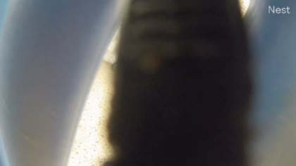 2025-10-19