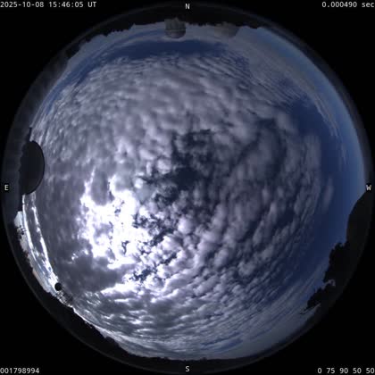 2025-10-08
