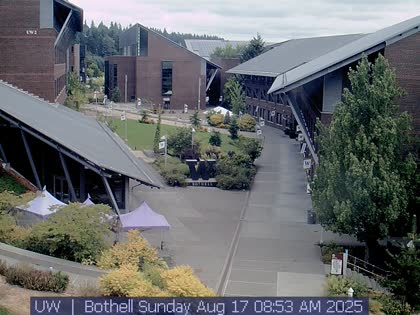 2025-08-17