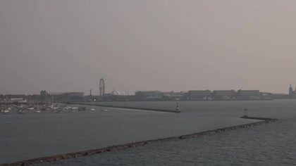 2025-08-05