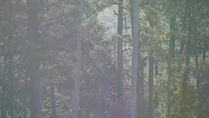 2026-07-10