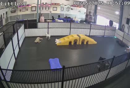 2025-08-05