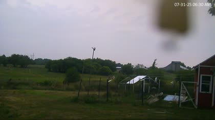 2025-07-31