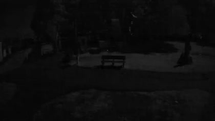 2025-10-06