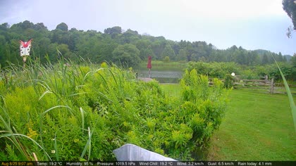 2025-08-08