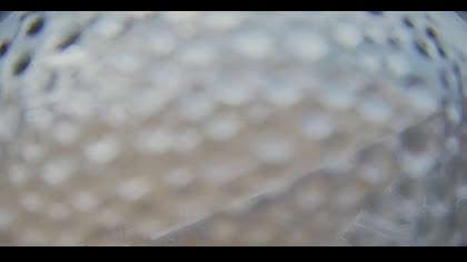 2025-10-11