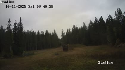 2025-10-11