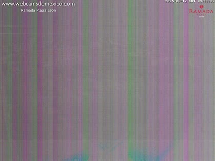 2025-06-12