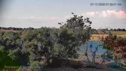 2026-07-17