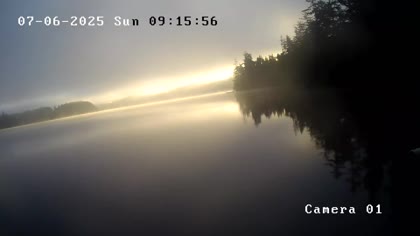 2025-07-06