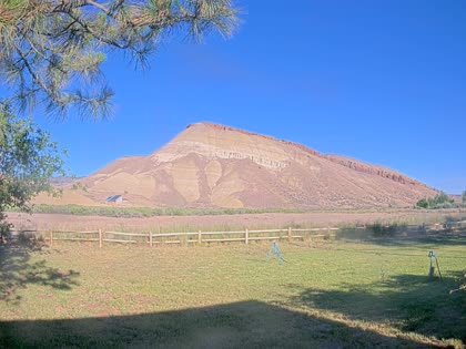 2026-06-12