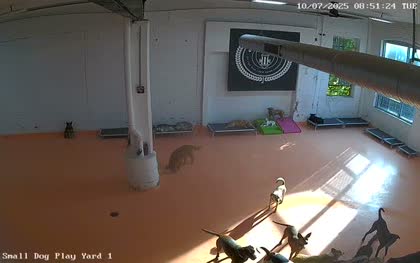 2025-10-07