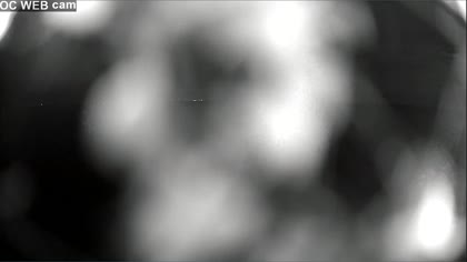 2025-07-17