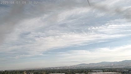 2025-08-01
