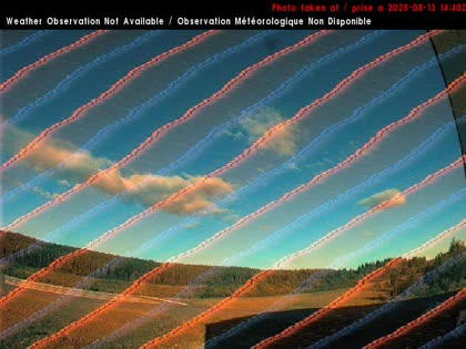2025-08-13