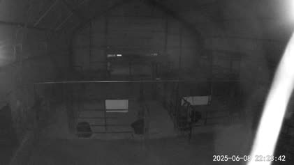 2025-06-09