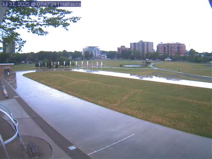 2025-07-31