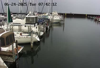 2025-06-24