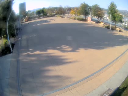 2025-10-08