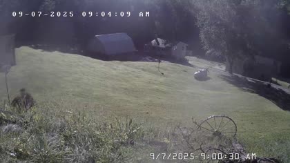 2025-09-07