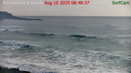 2025-08-10