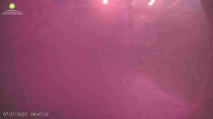 2025-07-27