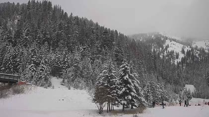 Missoula - Montana Snowbowl, Montana (USA) - Webcams