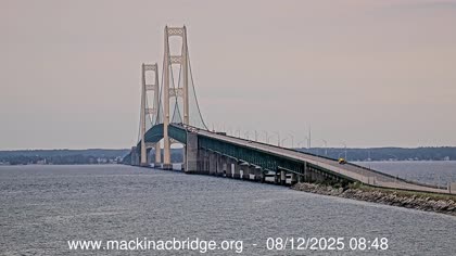 2025-08-12