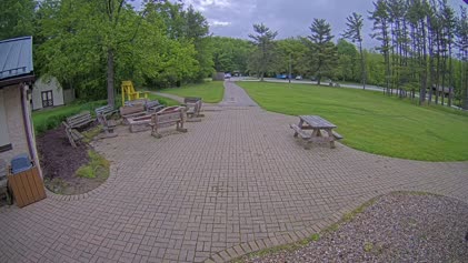 2025-06-01