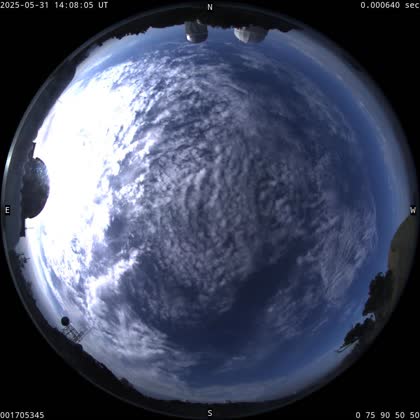 2025-05-31