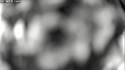 2025-07-04