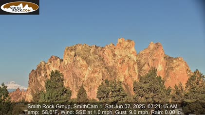 2025-06-07