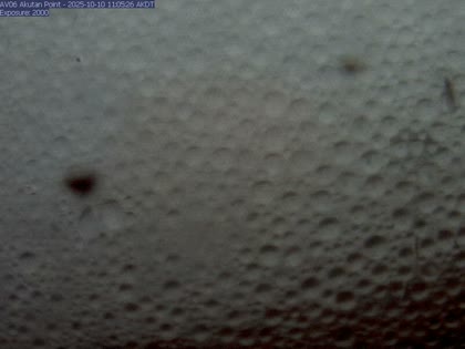 2025-10-10