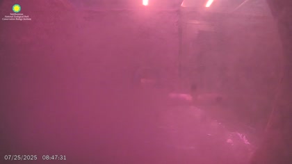 2025-07-25