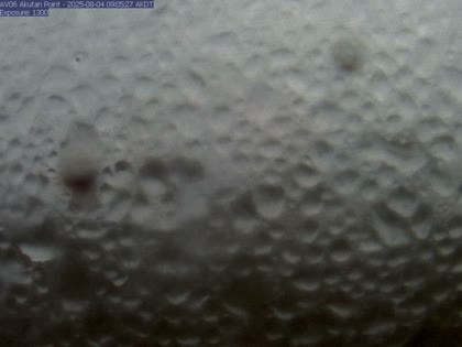 2025-08-04
