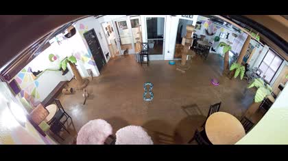 2025-08-01
