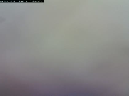 2025-07-22