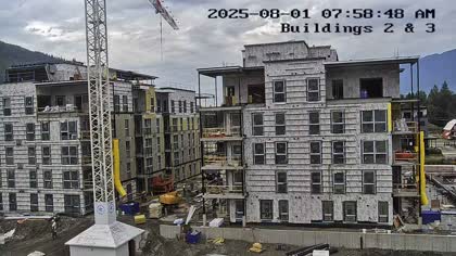 2025-08-01