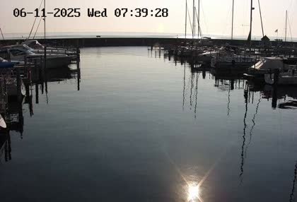 2025-06-11