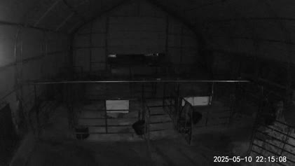 2025-05-11