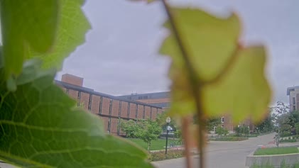 2025-06-09