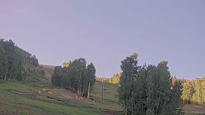 2025-07-06