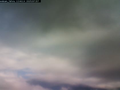 2025-07-07