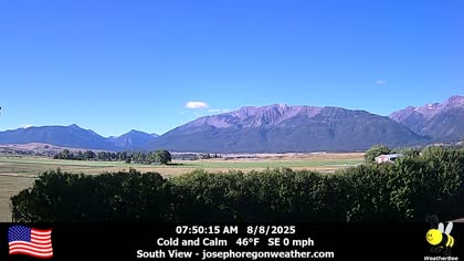 2025-08-08