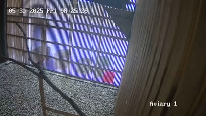 2025-05-30