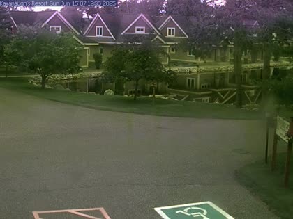 2025-06-15