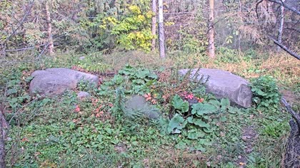 2025-10-20