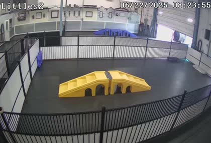 2025-06-22