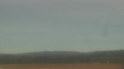 2025-07-04