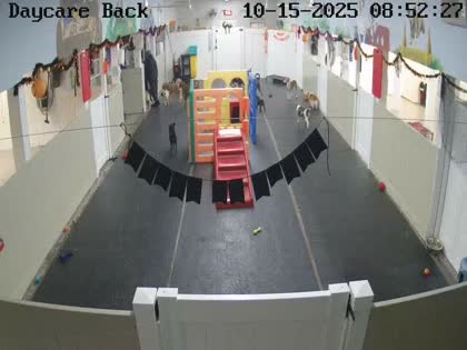 2025-10-15